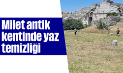 Milet antik kentinde yaz temizliği