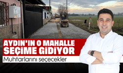 Aydın’ın o mahalle seçime gidiyor: Muhtarlarını seçecekler