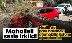 Nazilli’de park halindeki otomobilin üstüne ağaç devrildi