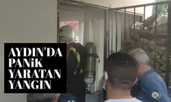 Aydın'da panik yaratan yangın