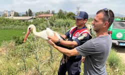 Nazilli’de yaralı leylek tedavi edilip doğaya salındı