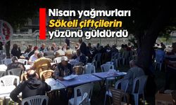 Nisan yağmurları Sökeli çiftçilerin yüzünü güldürdü
