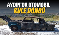 Aydın’da otomobil küle döndü