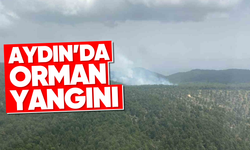 Aydın’da orman yangını
