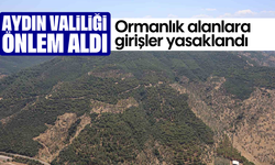 Aydın Valiliği önlem aldı: Ormanlık alanlara girişler yasaklandı