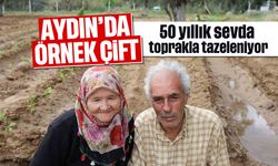 Aydın'da örnek çift: 50 yıllık sevda toprakla tazeleniyor
