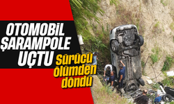 Otomobil şarampole uçtu: Sürücü yaralandı