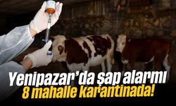Yenipazar’da şap alarmı: 8 mahalle karantinada!