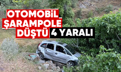 Otomobil şarampole düştü: 4 yaralı