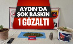 Aydın'da şok baskın: 1 gözaltı