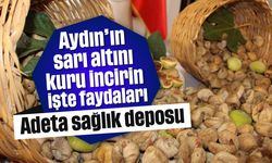 Aydın'ın sarı altını,  kuru incirin işte faydaları