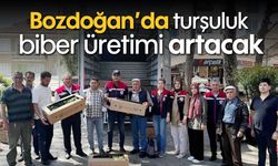Bozdoğan’da turşuluk biber üretimi artacak