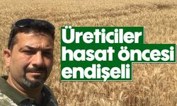 Üreticiler, hasat öncesi endişeli