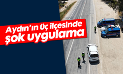 Aydın'ın üç ilçesinde şok uygulama