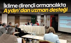 İklime dirençli ormancılıkta Aydın’dan uzman desteği