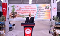 Vali Canbolat, üreticilere fide dağıttı
