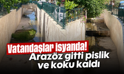 Arazöz gitti, pislik ve koku kaldı: Vatandaşlar isyanda!