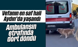 Vefanın en saf hali Aydın'da yaşandı: Ambulansın etrafında dört döndü
