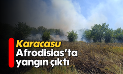 Karacasu Afrodisias'ta yangın çıktı