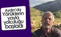 Aydın’da Yörüklerin yayla yolculuğu başladı