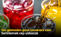 Yaz gelmeden gazlı içeceklere zam! Serinlemek cep yakacak