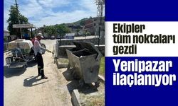 Ekipler tüm noktaları gezdi: Yenipazar ilaçlanıyor