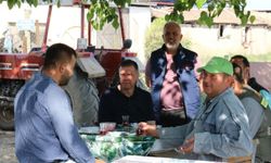 Yenipazar’daki parklar, meydanlar ve caddeler güzelleşiyor