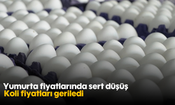 Yumurta fiyatlarında sert düşüş: Koli fiyatları geriledi