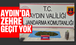 Aydın’da zehre geçit yok