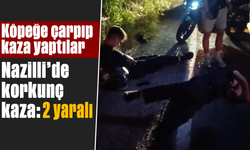 Köpeğe çarpıp kaza yaptılar: Nazilli’de korkunç kaza, 2 yaralı