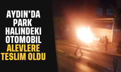 Aydın'da park halindeki otomobil alevlere teslim oldu