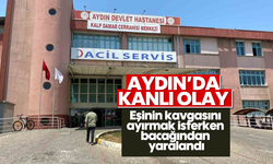 Aydın'da eşinin kavgasını ayırmak isterken bacağından yaralandı