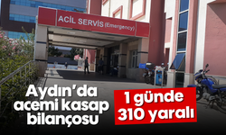 Aydın'da acemi kasap bilançosu: 1 günde 310 yaralı