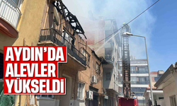 Aydın'da alevler yükseldi