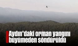 Aydın'daki orman yangını büyümeden söndürüldü