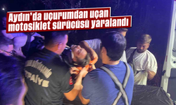 Aydın'da uçurumdan uçan motosiklet sürücüsü yaralandı