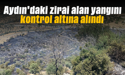 Aydın'daki zirai alan yangını kontrol altına alındı