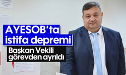 AYESOB’ta istifa depremi