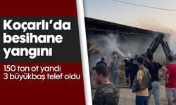 Koçarlı'da besihane yangını: 150 ton ot yandı, 3 büyükbaş telef oldu
