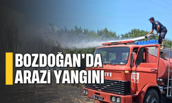 Bozdoğan’da arazi yangını
