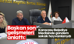 Başkan son gelişmeleri anlattı: Karacasu Belediye Meclisinde gündem sokak hayvanlarıydı