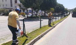 Başkan Çerçioğlu’ndan Aydın’a yeşil dokunuş