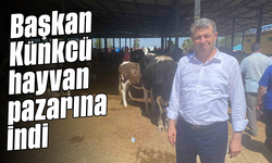 Başkan Künkcü hayvan pazarına indi