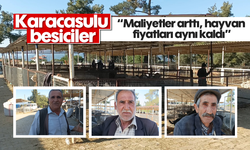 Karacasulu besiciler: 'Maliyetler arttı, hayvan fiyatları aynı kaldı'