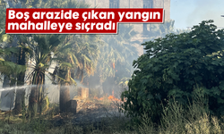 Boş arazide çıkan yangın mahalleye sıçradı