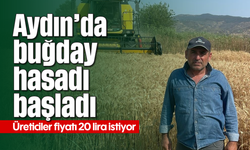 Aydın’da buğday hasadı başladı: Üreticiler fiyatı 20 lira istiyor