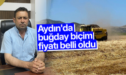 Aydın'da buğday biçim fiyatı belli oldu