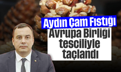 Aydın Çam Fıstığı, Avrupa Birliği tesciliyle taçlandı
