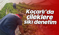 Koçarlı’da çileklere sıkı denetim