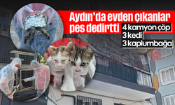 Aydın’da evden çıkanlar pes dedirtti: 4 kamyon çöp, kediler, kaplumbağalar...